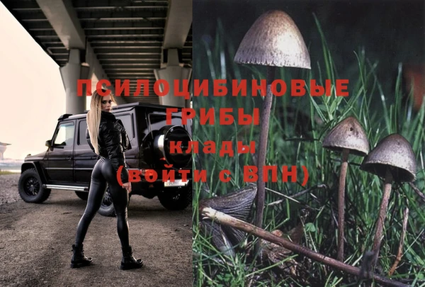 метадон Ладушкин